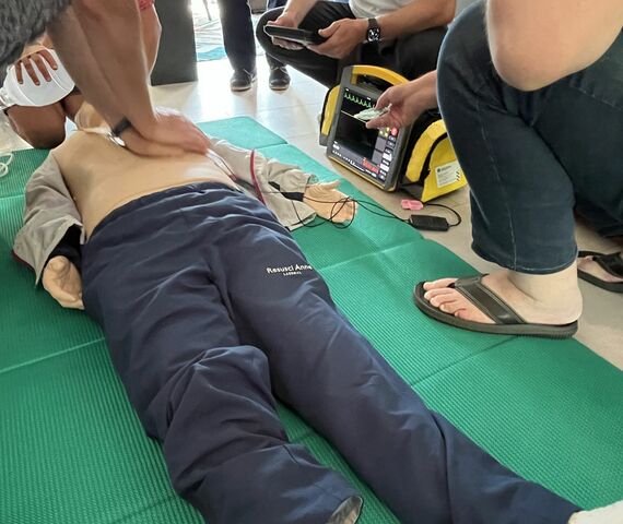 termne-cals-pals-termine